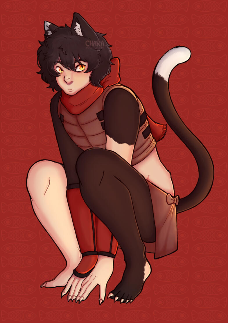 Completo fullbody